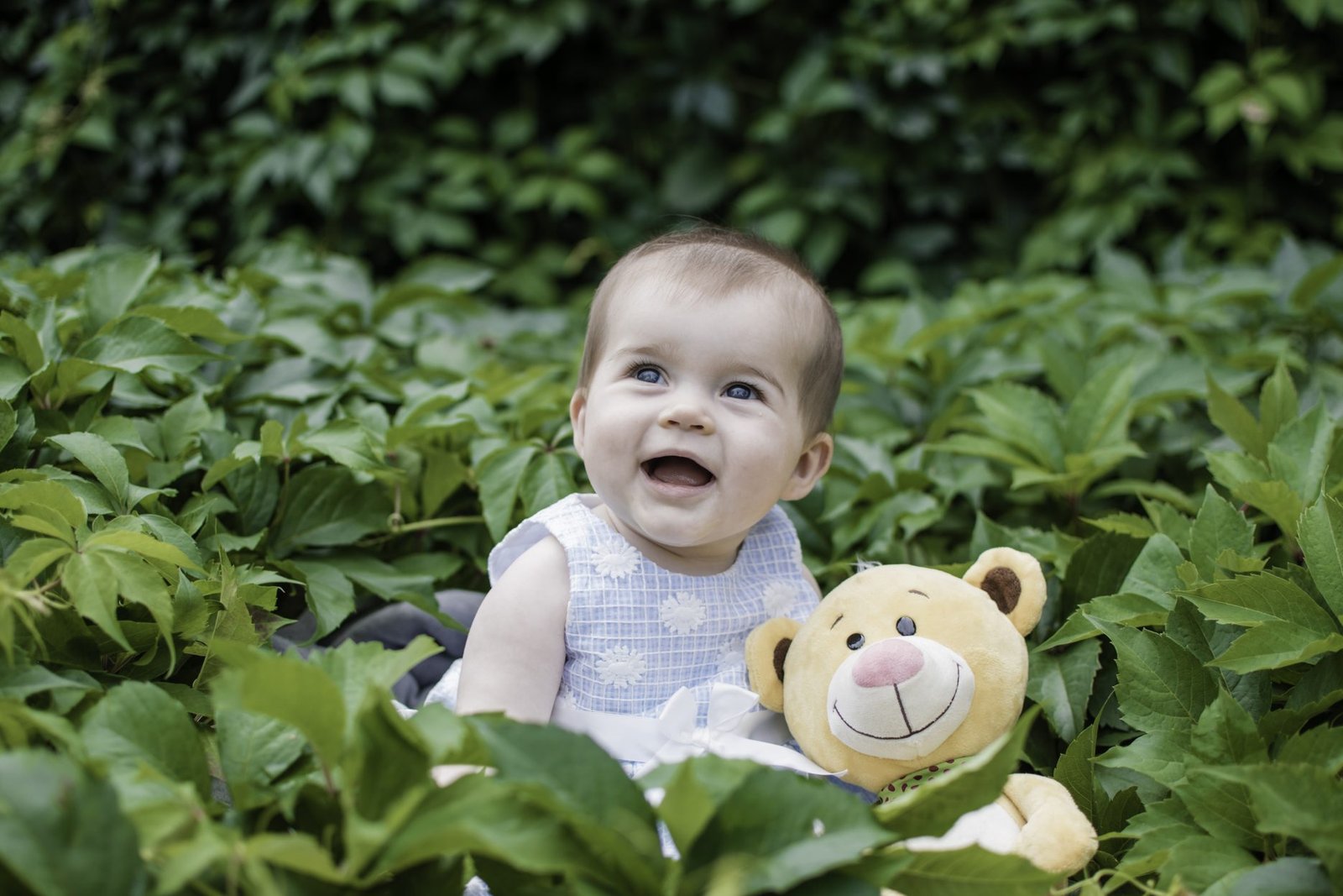 Children Photoshoots