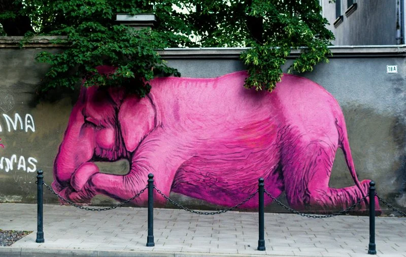 Kaunas Graffiti Map